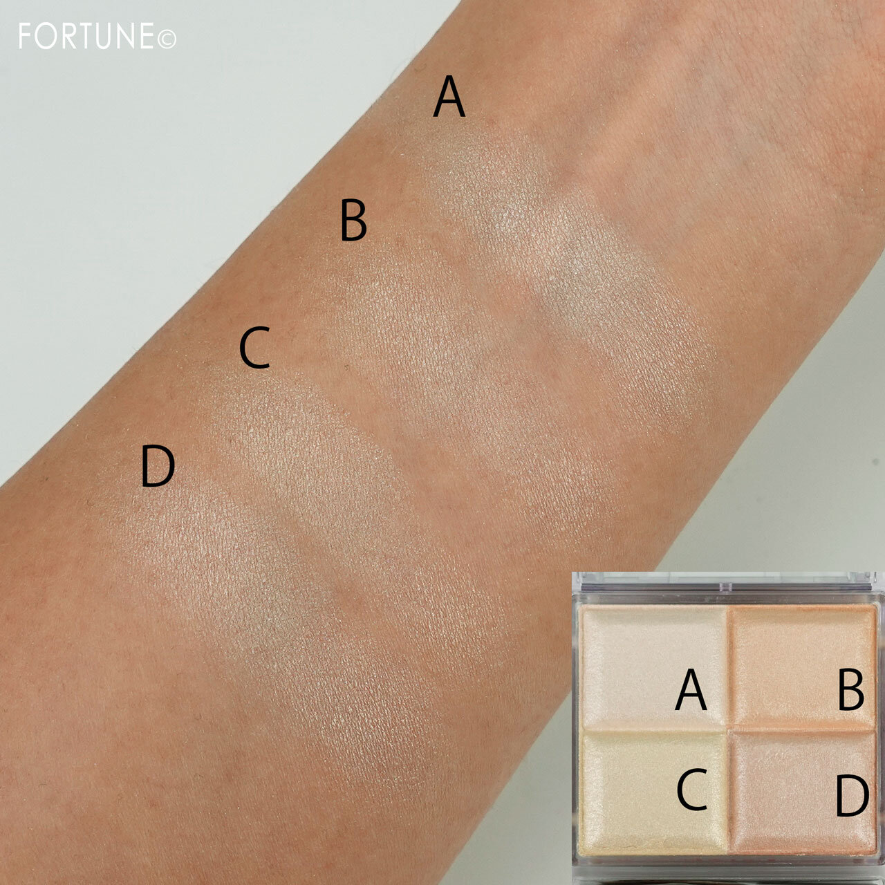 CEZANNE/セザンヌ『ミックスカラーチークN 10ペールハイライト』