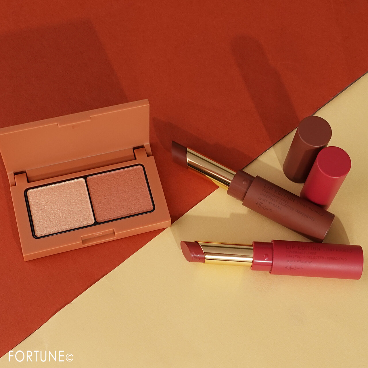 ettusais（エテュセ）カラーパレット ティントルージュ