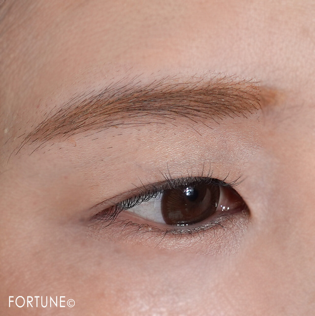 LUNASOL/ルナソル  スタイリングアイブロウマスカラ（カネボウ化粧品）