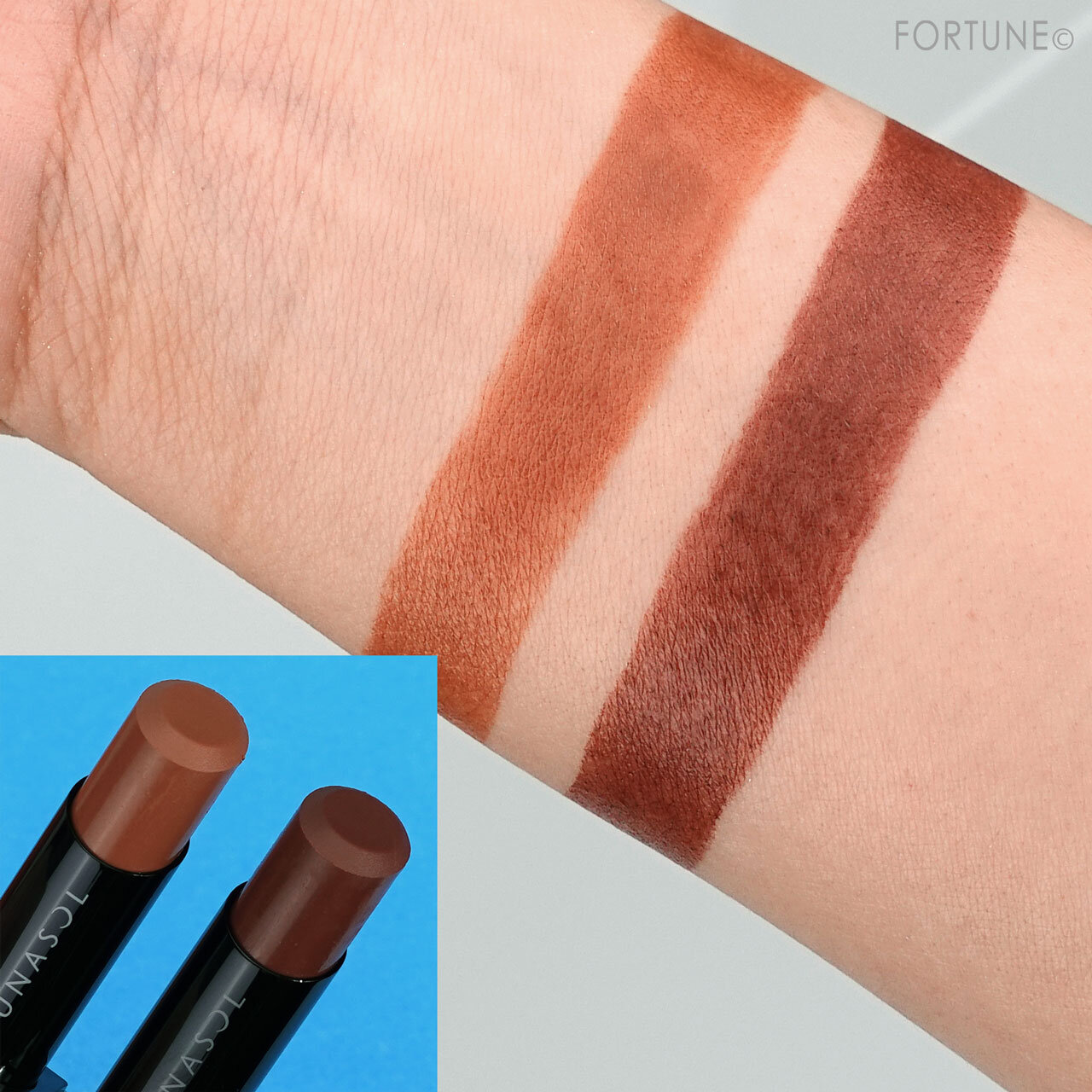 LUNASOL/ルナソル プランプメロウリップス サテン（カネボウ化粧品）