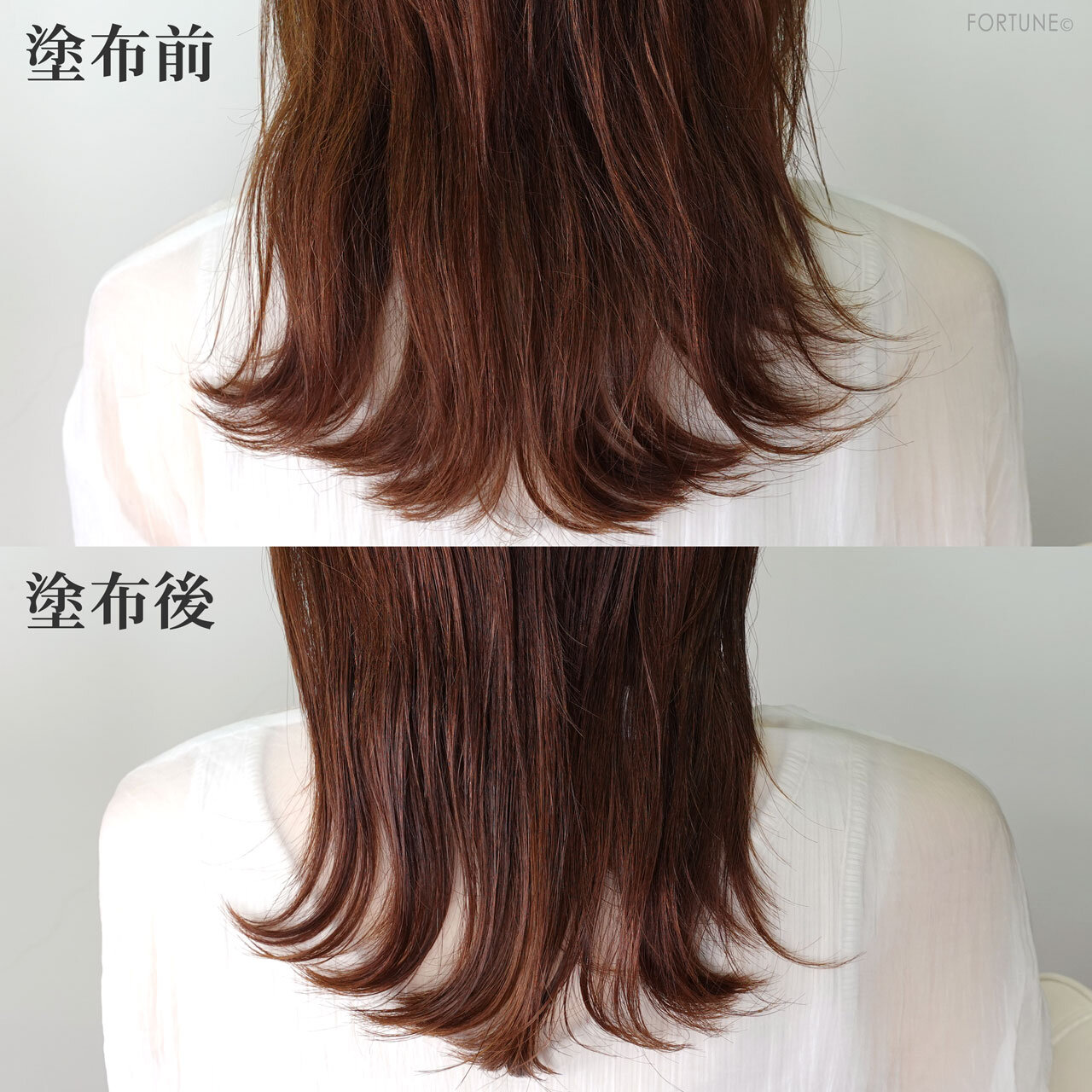 fino/フィーノ『フィーノ プレミアムタッチ 浸透美容液ヘアオイル』