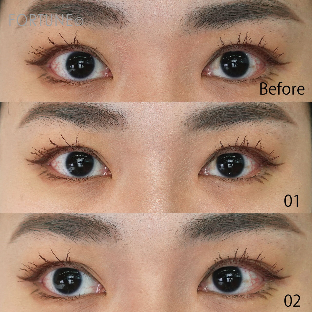 CEZANNE/セザンヌ ナチュラルマットシェーディング 