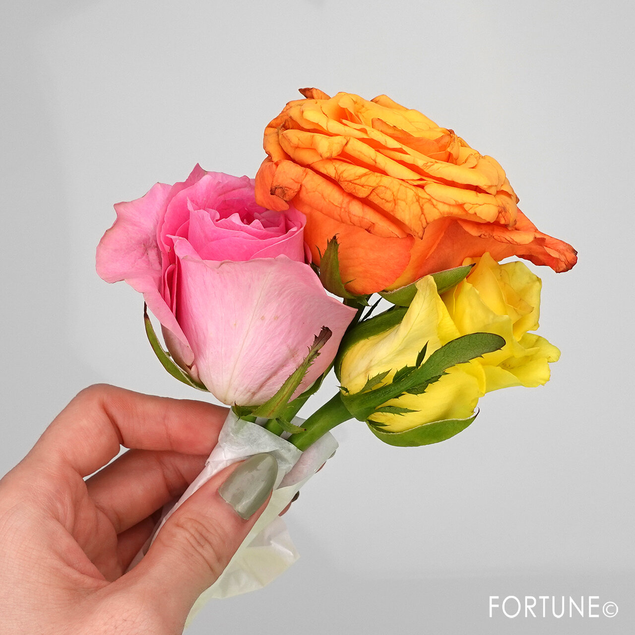 LUSH（ラッシュ）フレッシュ＆フラワー ボックス