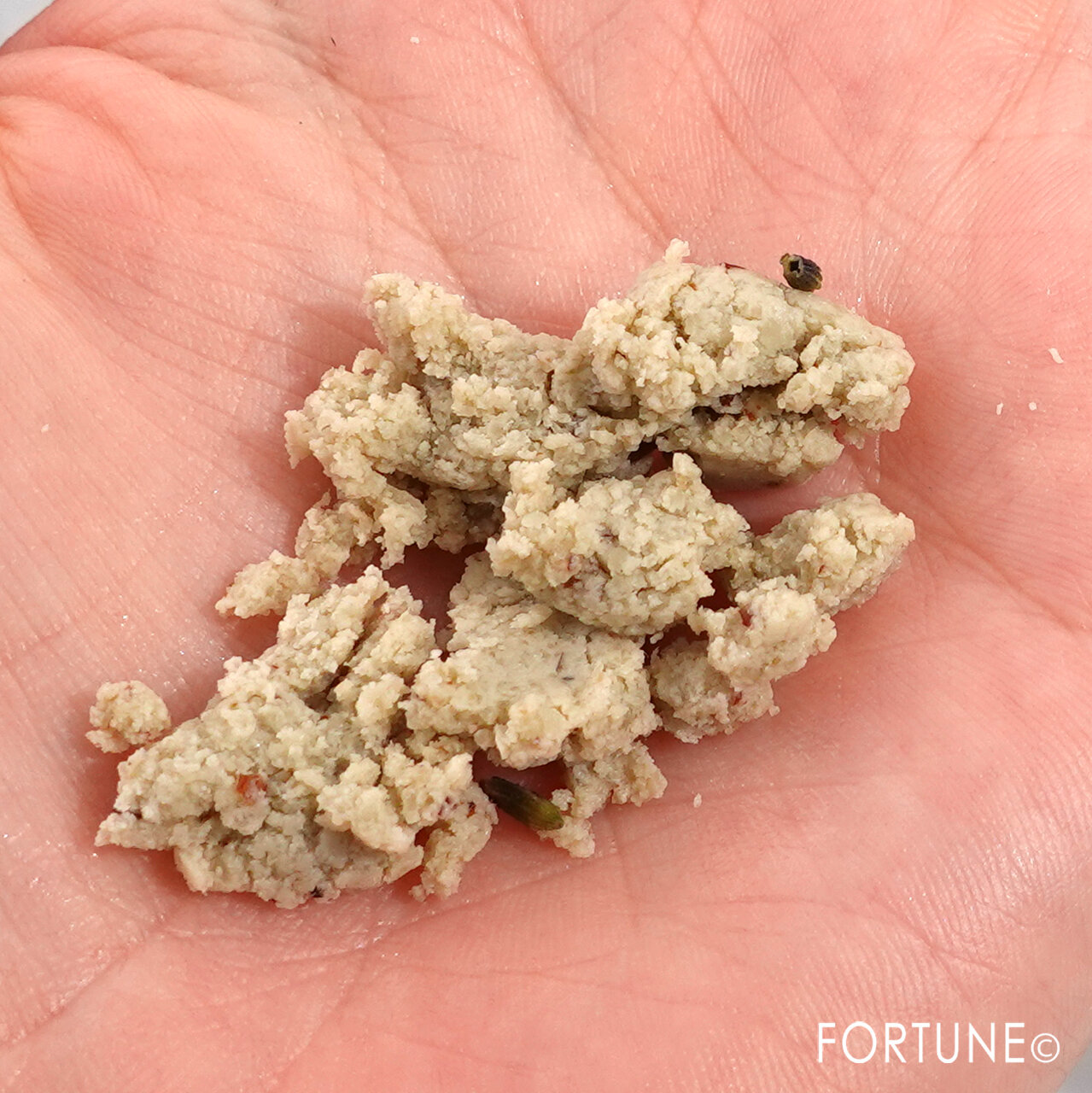 LUSH(ラッシュ)／天使の優しさ