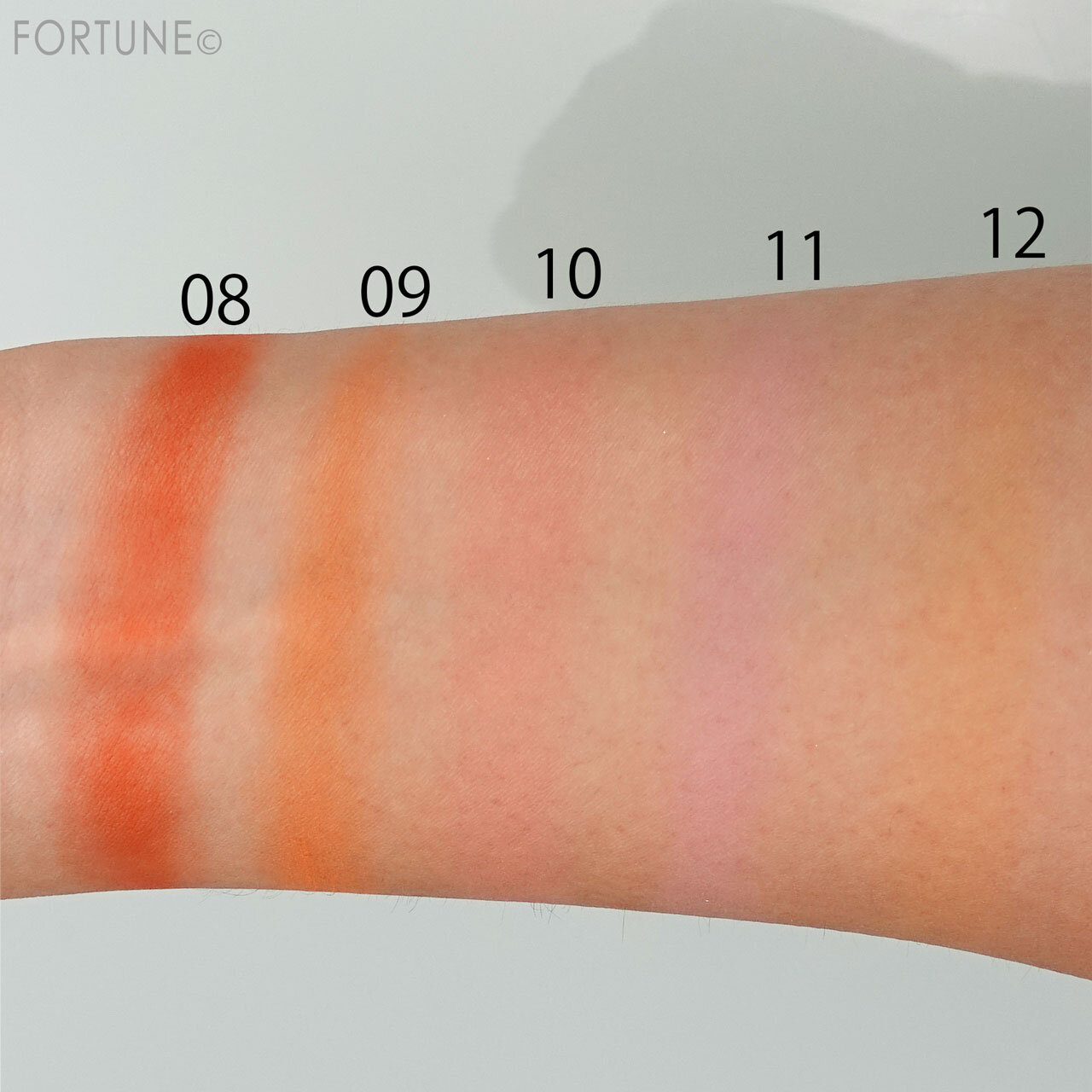 CHIOTURE（チオチュア）ラブリー肉球チーク 