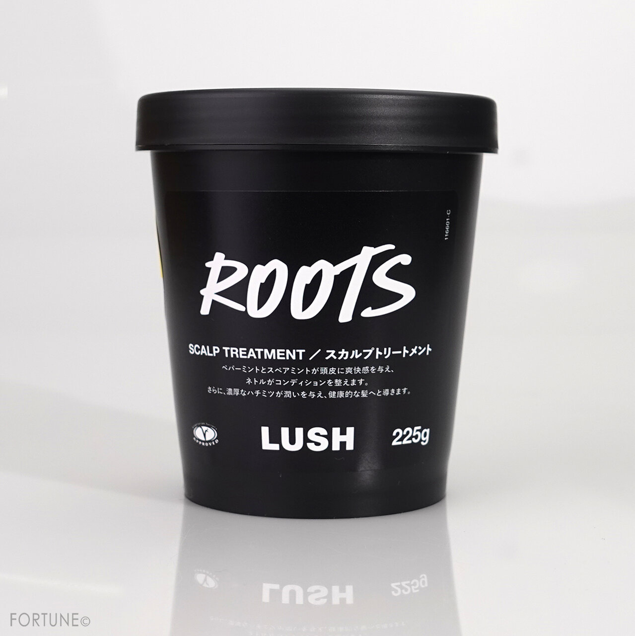 LUSH ／現実頭皮