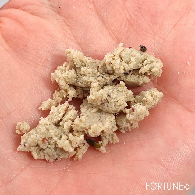 LUSH ／天使の優しさ