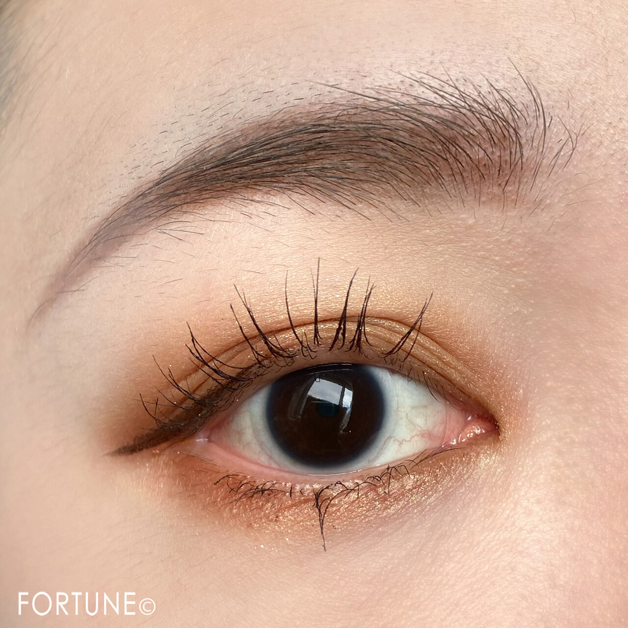 CANMAKE/キャンメイク「パーフェクトスタイリストアイズ」