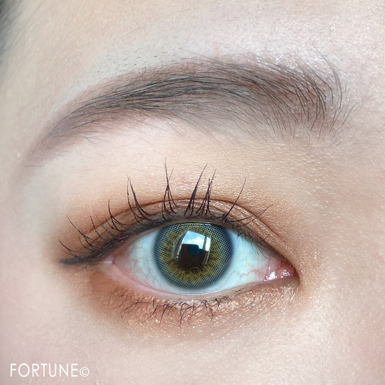 CEZANNE セザンヌ　ニュアンスオンアイシャドウ