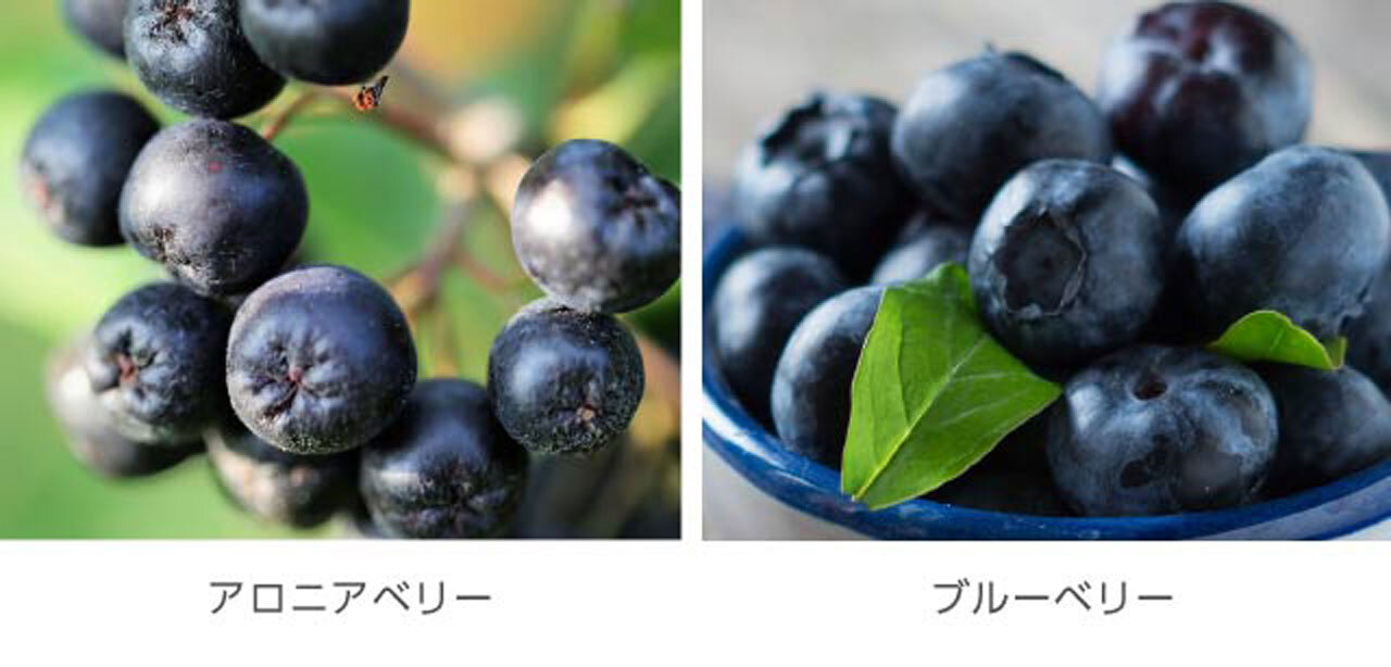 MISSHA『ミシャ M クッションベース（ラベンダー）』