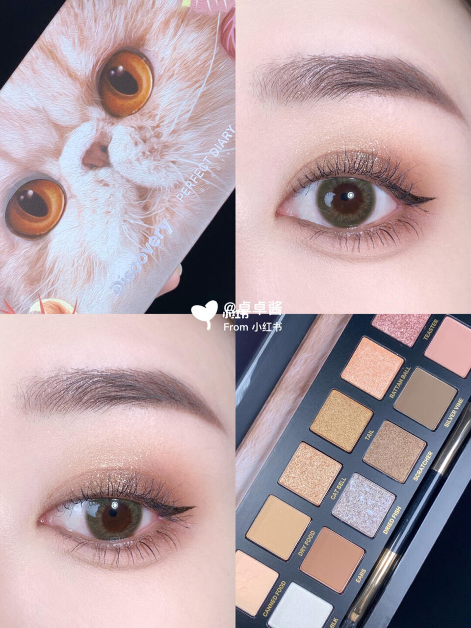 Perfect Diary（パーフェクトダイアリー）『エクスプローラ12色アイシャドウパレット』09 The Cat