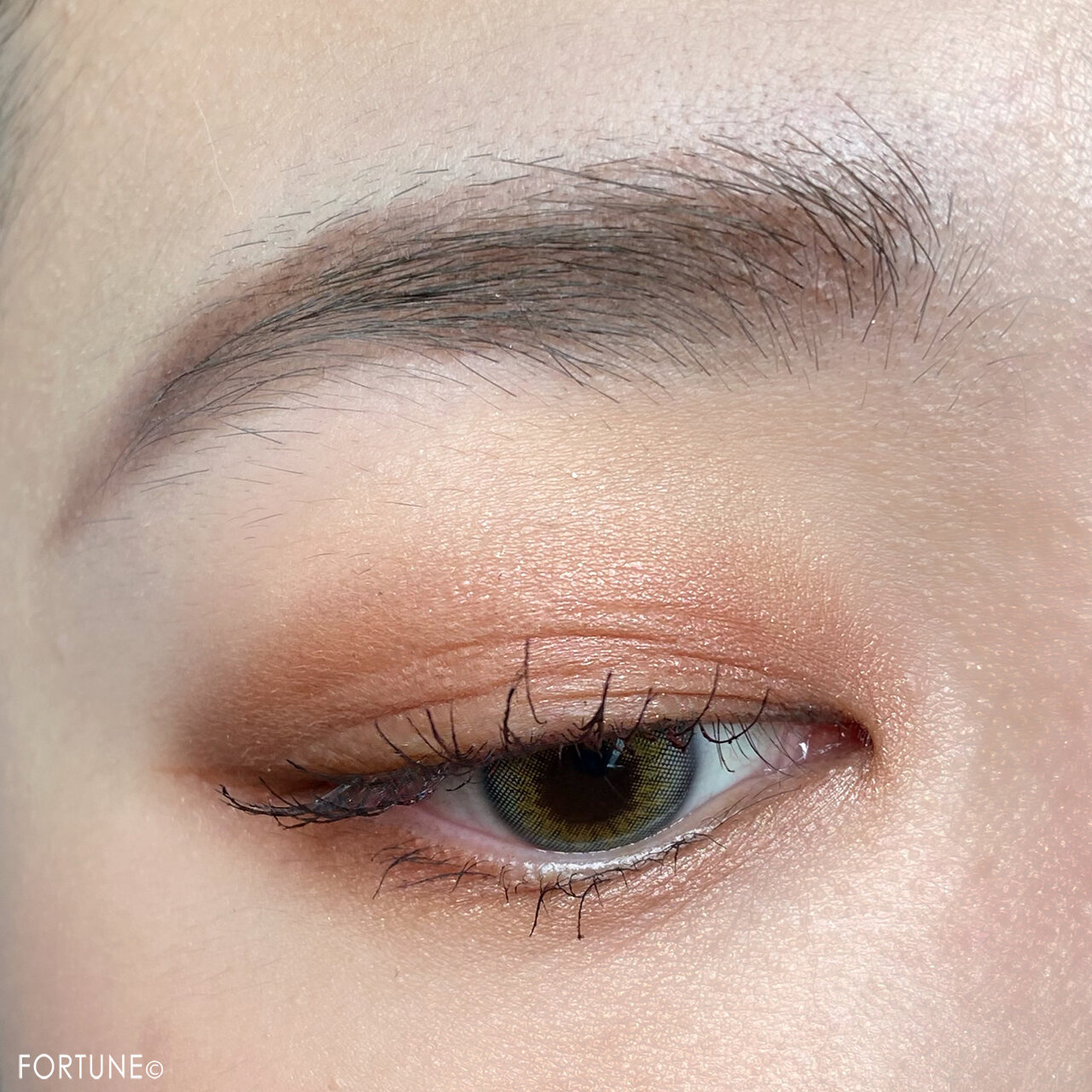 CEZANNE（セザンヌ）『トーンアップアイシャドウ』10ベリーブラウン