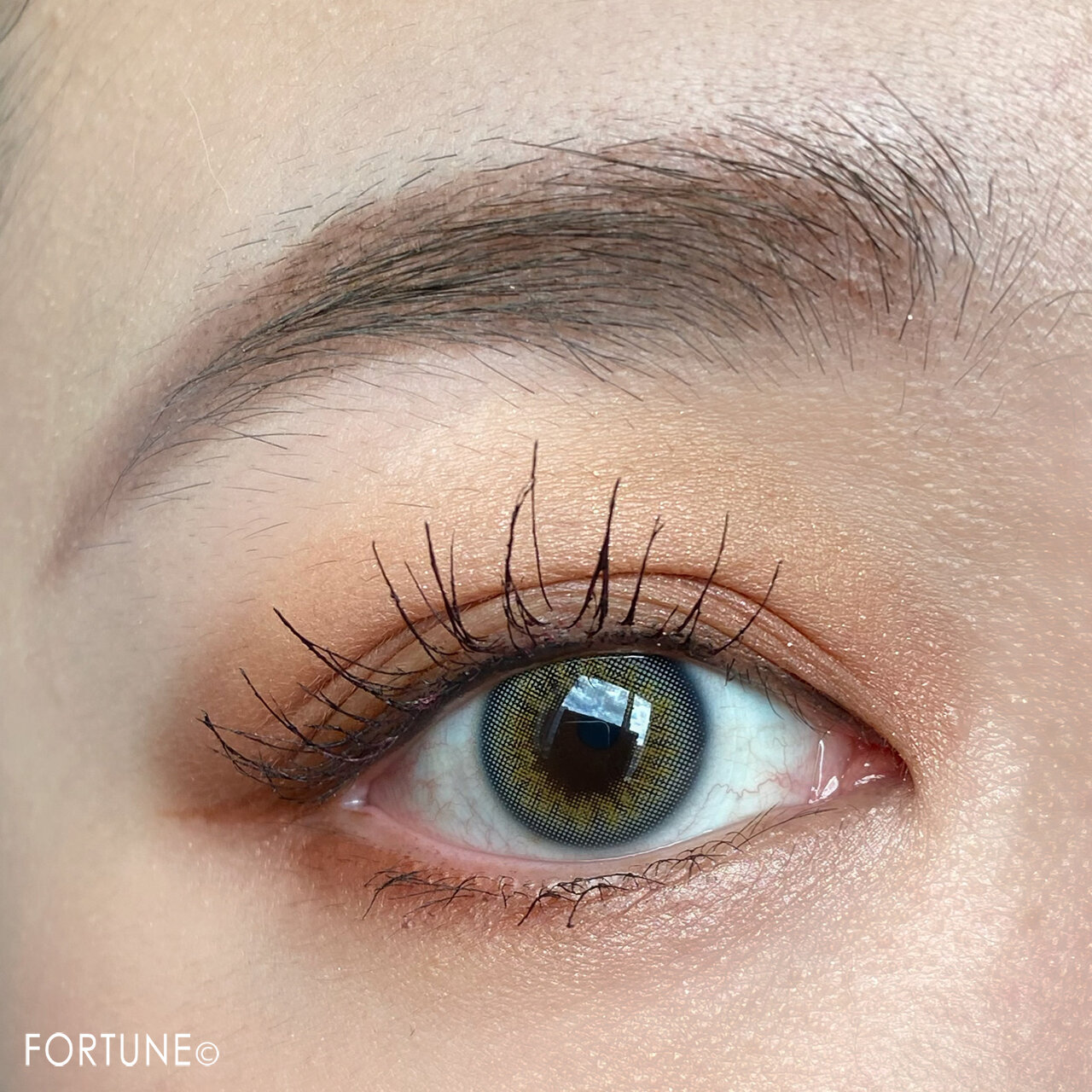 CEZANNE（セザンヌ）『トーンアップアイシャドウ』10ベリーブラウン