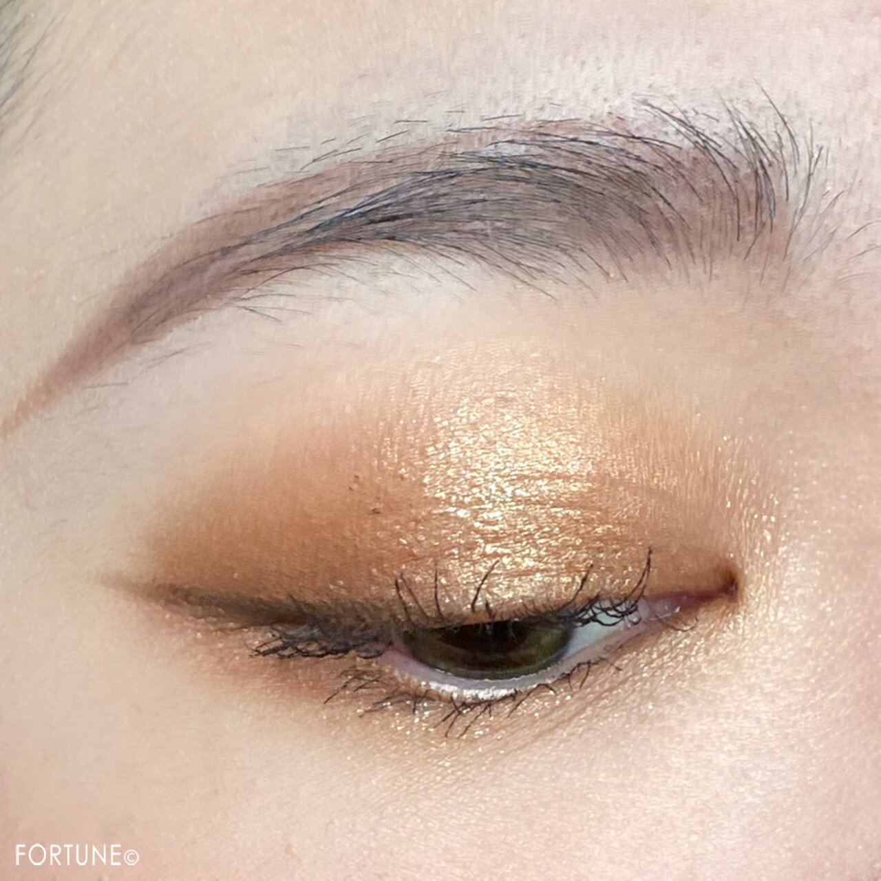 Perfect Diary（パーフェクトダイアリー）『エクスプローラ12色アイシャドウパレット』09 The Cat