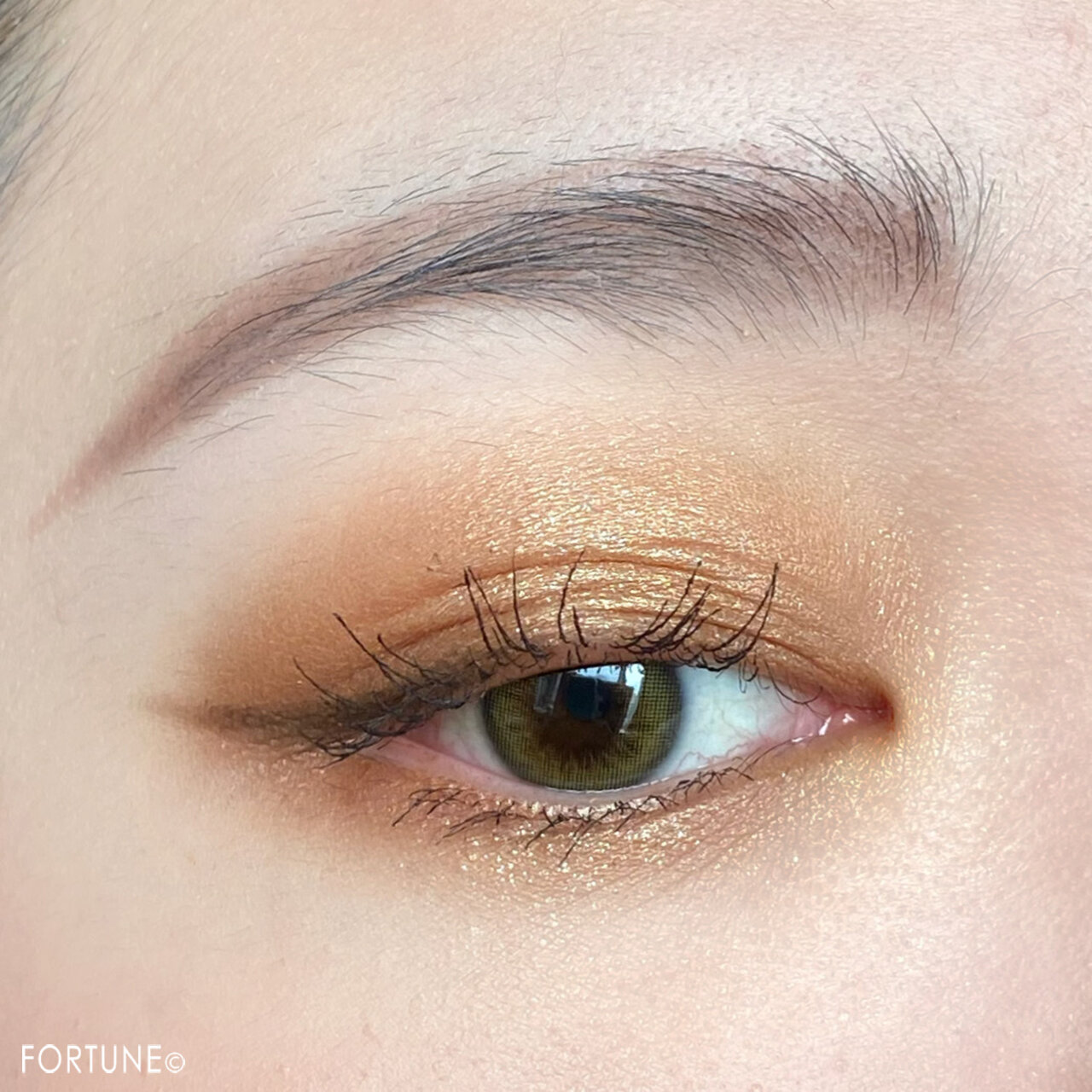 Perfect Diary（パーフェクトダイアリー）『エクスプローラ12色アイシャドウパレット』09 The Cat