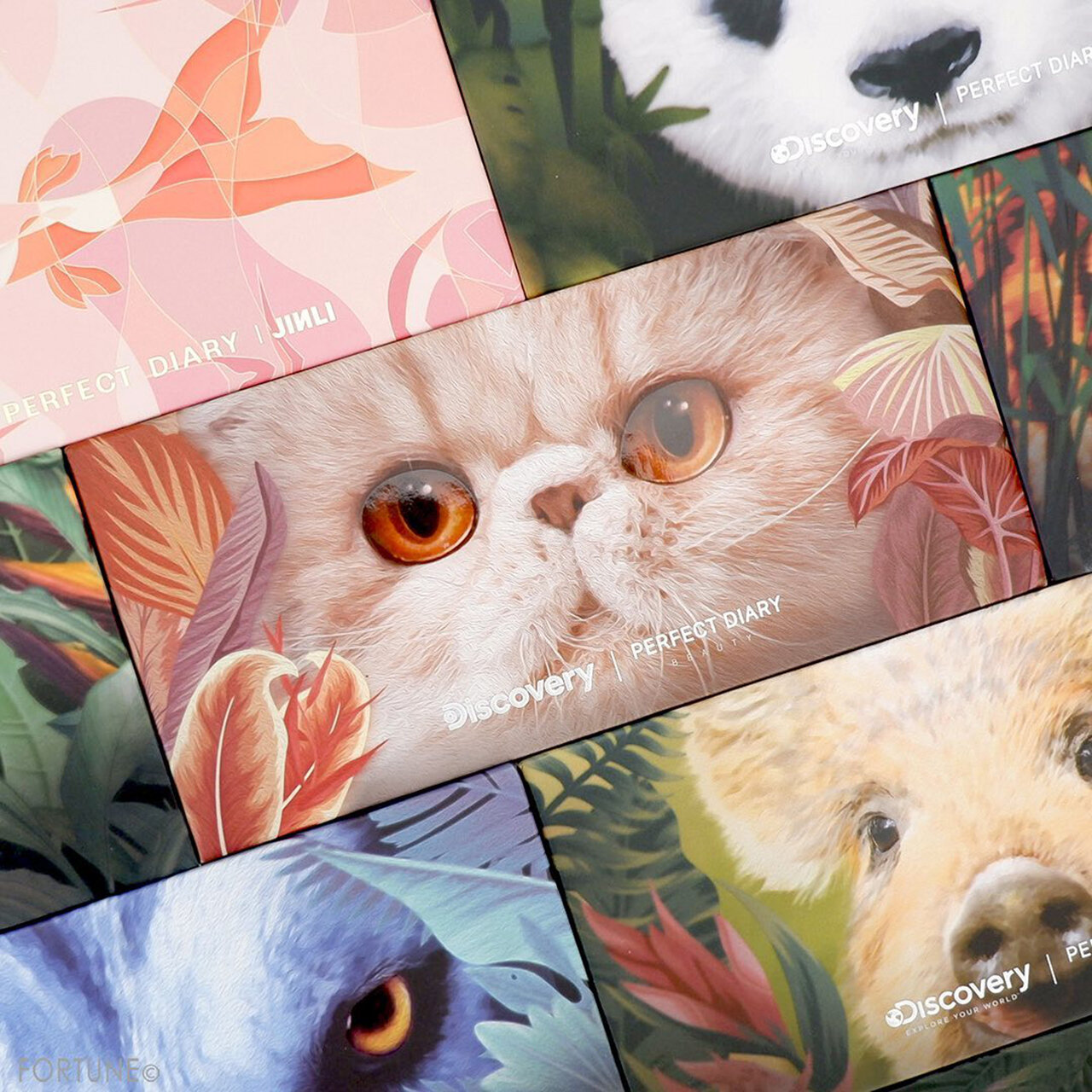 Perfect Diary（パーフェクトダイアリー）『エクスプローラ12色アイシャドウパレット』09 The Cat