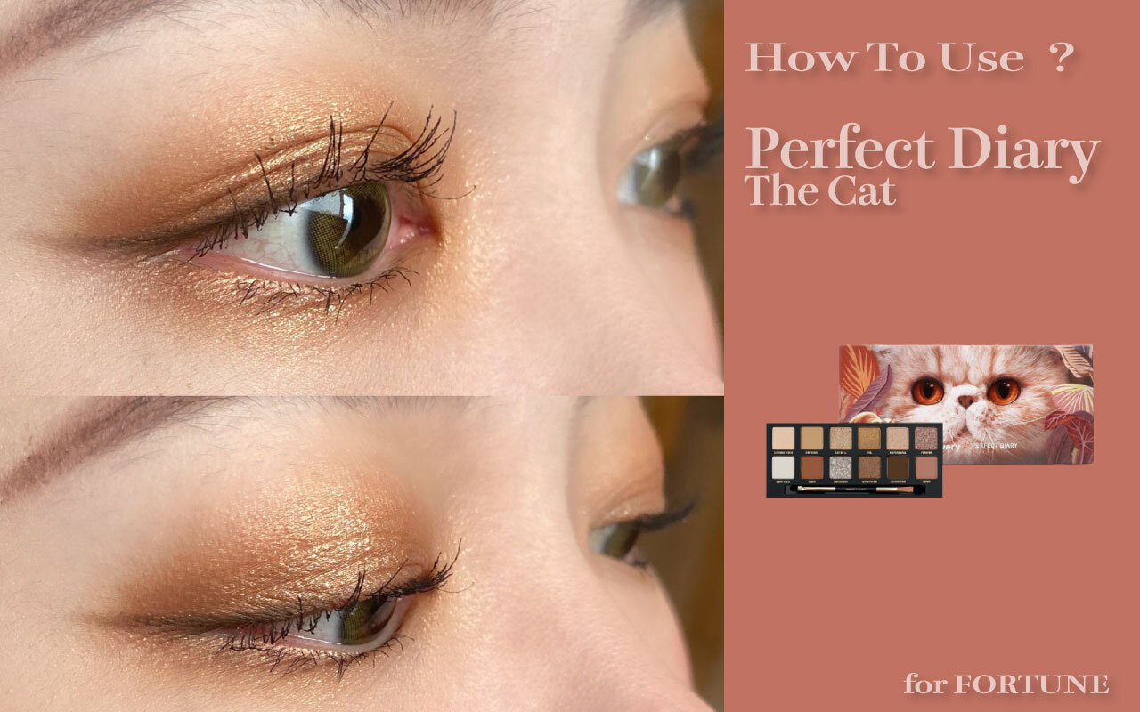 Perfect Diary（パーフェクトダイアリー）『エクスプローラ12色アイシャドウパレット』09 The Cat