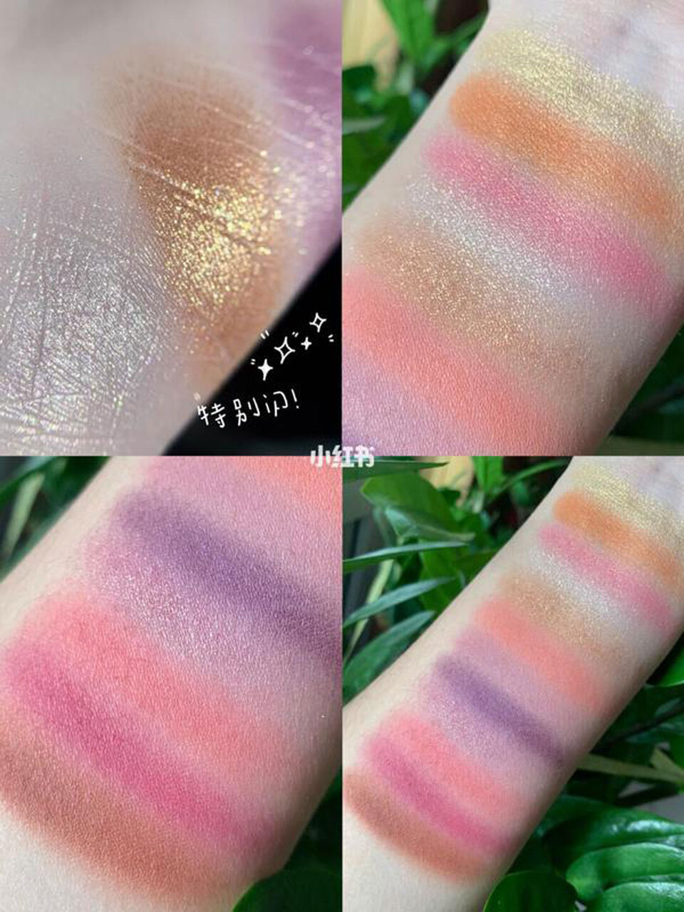 中国コスメ 【VCND】星空アイシャドウパレット