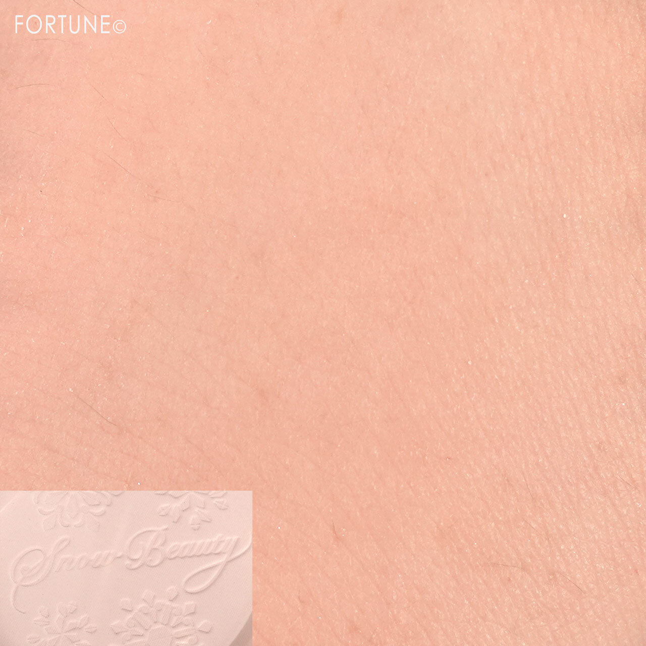 資生堂 スノービューティー ホワイトニング スキンケアパウダーＰ