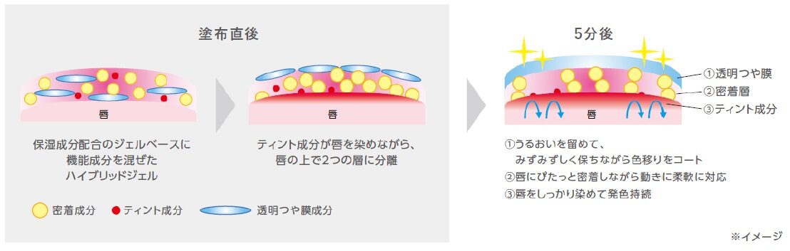 MAQuillAGE（マキアージュ）『マキアージュ　ドラマティックリップティント』