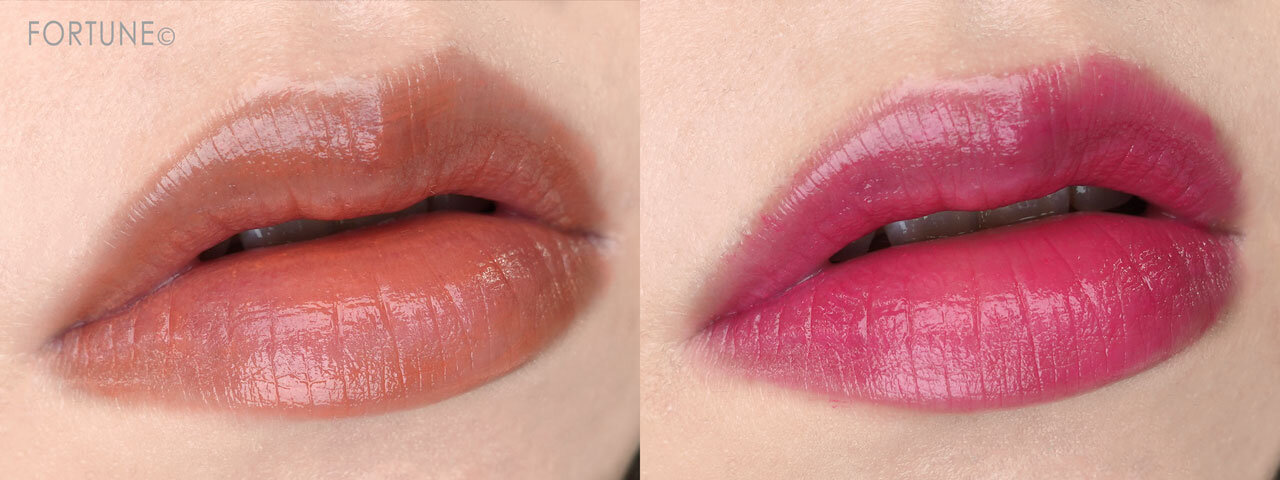 クレ・ド・ポー ボーテ ルージュアレーブル ブリアン ＜口紅＞