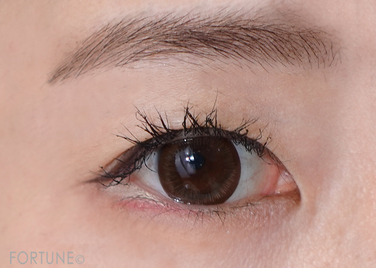 アイメイク｜≪KATE（ケイト）≫2021冬コスメをレビュー！理想の目もとになれる新色＆新作が登場