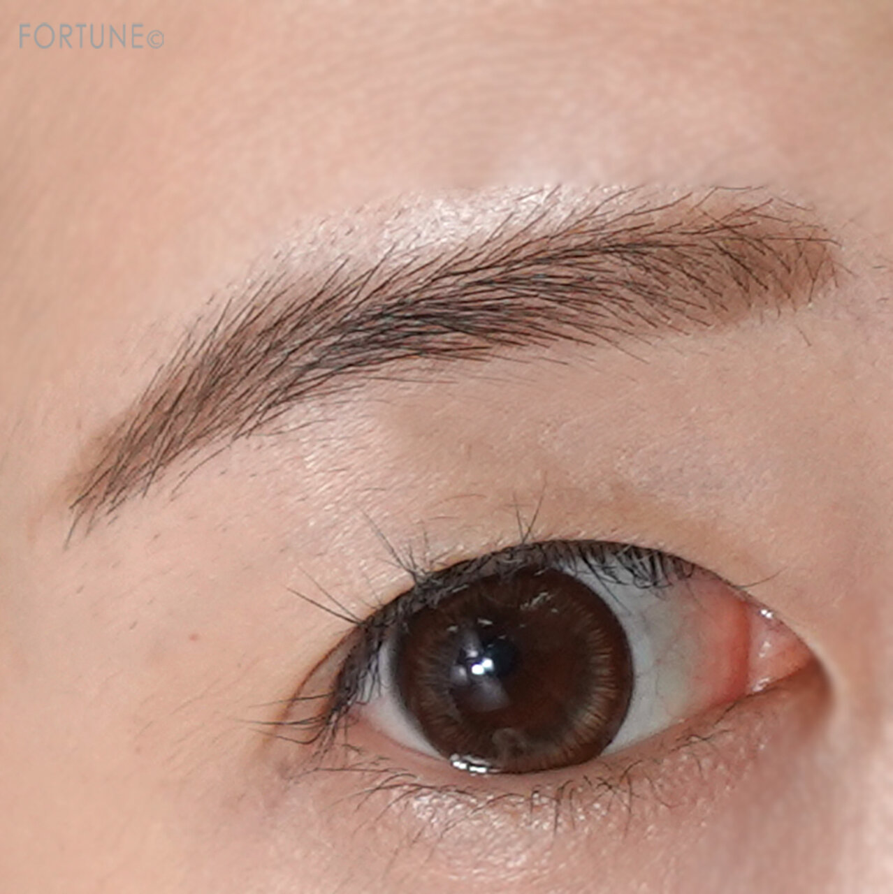 KATE（ケイト）ケイト　デザイニングアイブロウ3D 　フィット