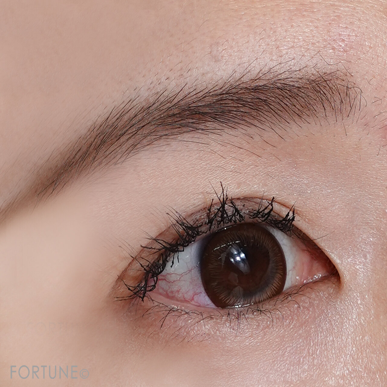 KATE（ケイト）ケイト　デザイニングアイブロウ3D 　フィット