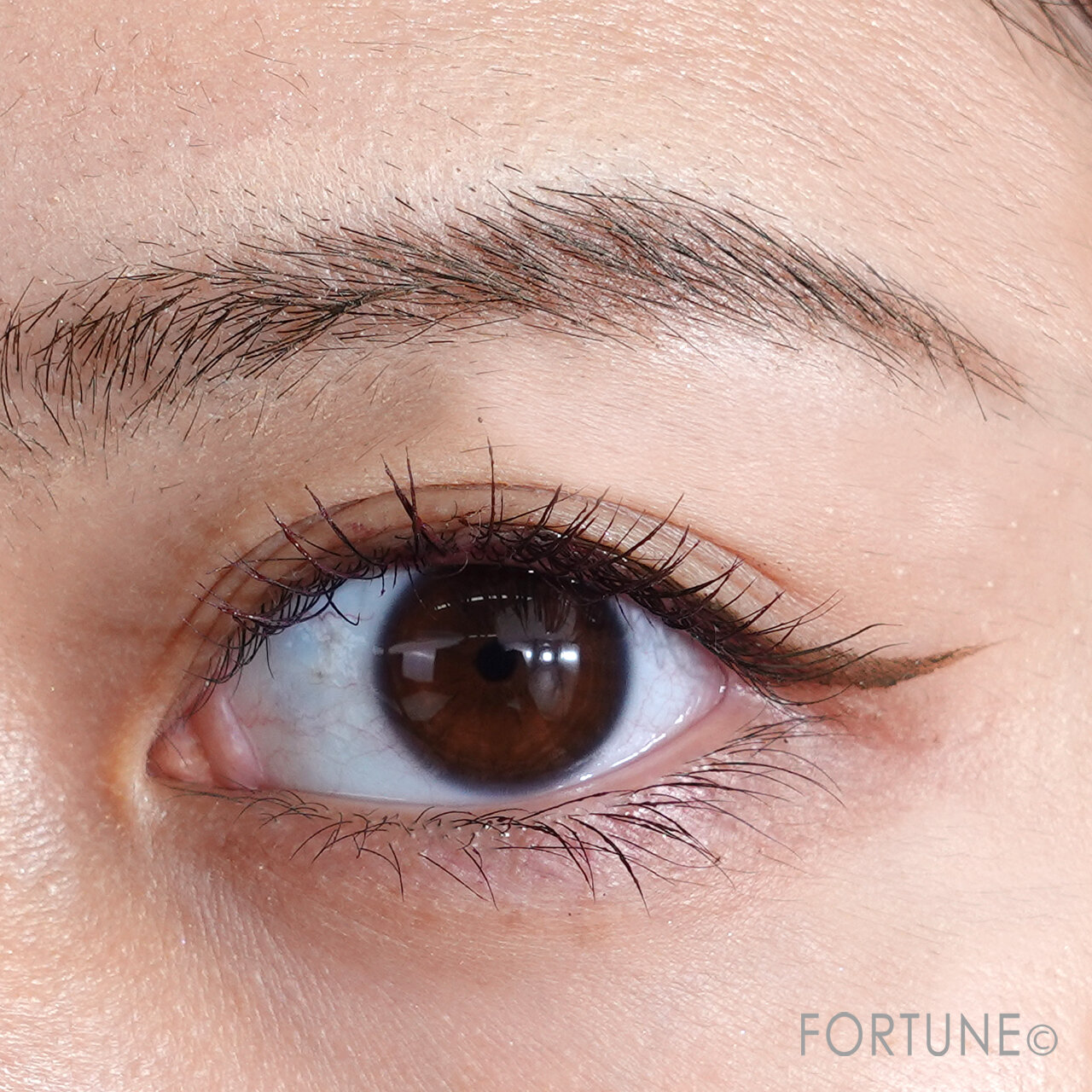 クリスマスコスメ／ちふれ　リキッド　アイライナー