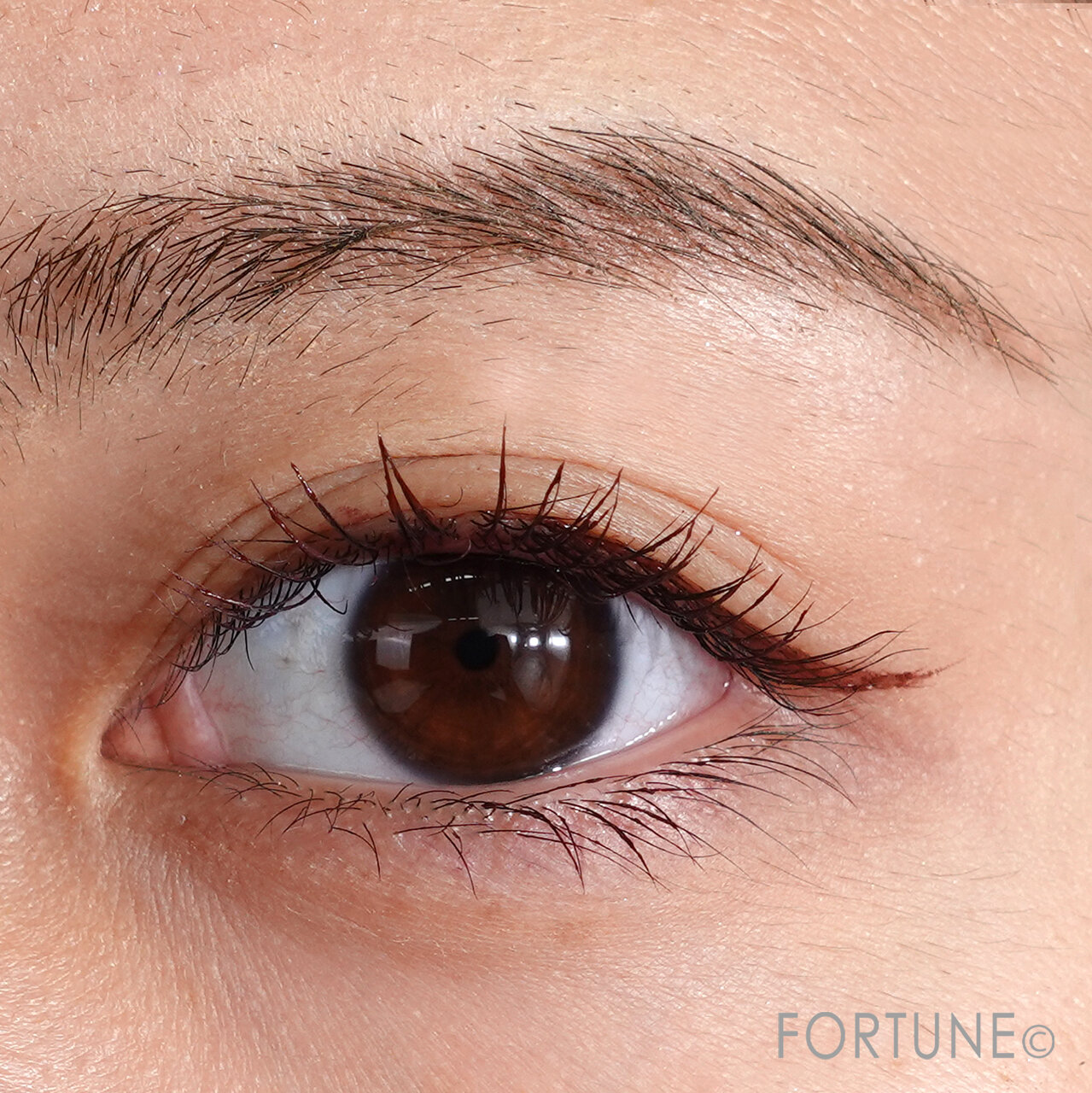 クリスマスコスメ／ちふれ　リキッド　アイライナー