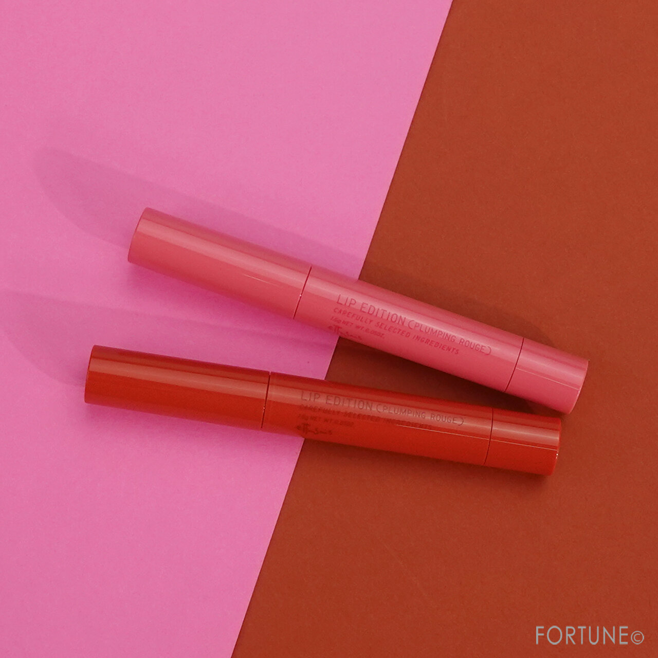 ettusais（エテュセ）／エテュセ リップエディション（プランパールージュ）ウォームスタイル