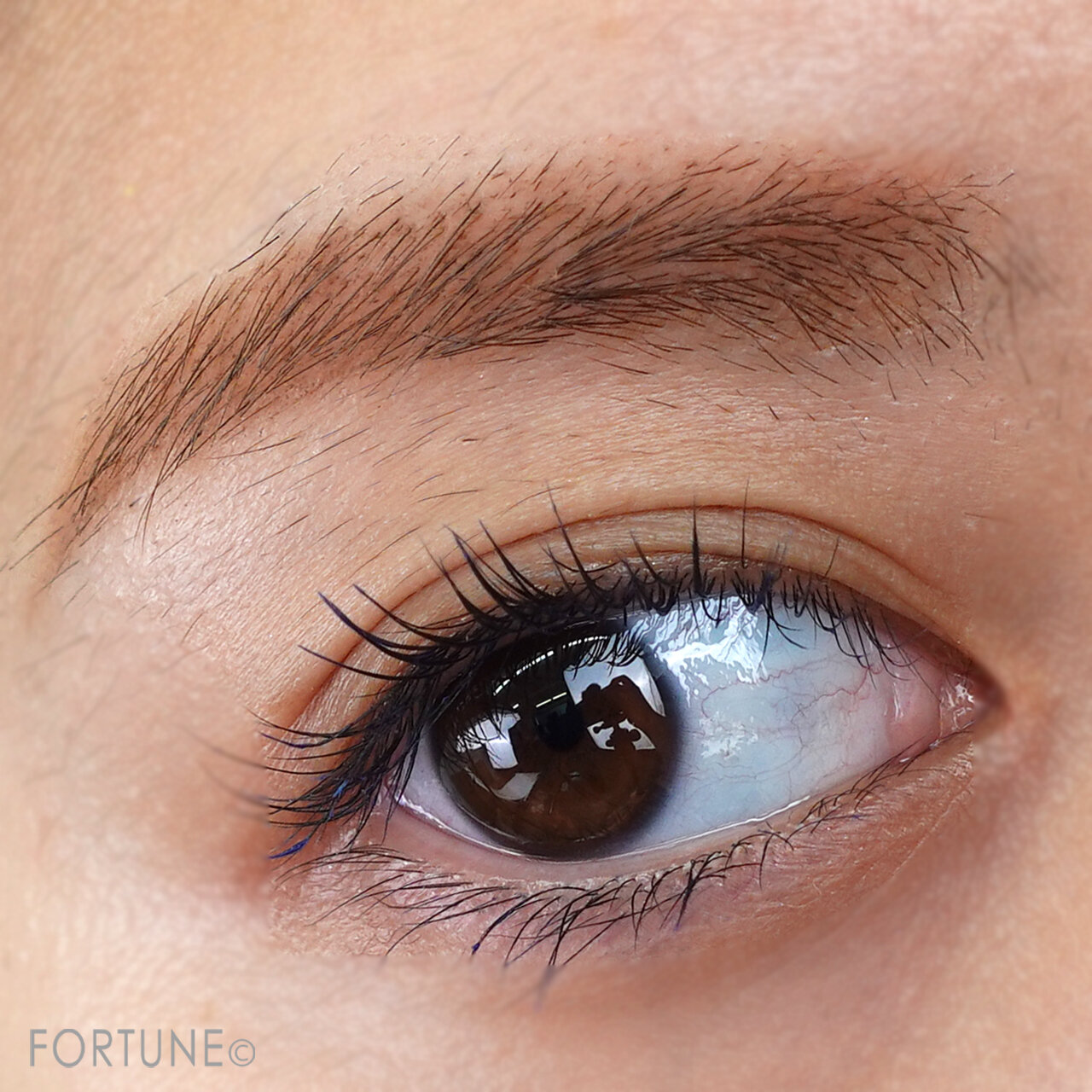 ちふれ アイブロー パウダー OR10／クリスマスコフレ