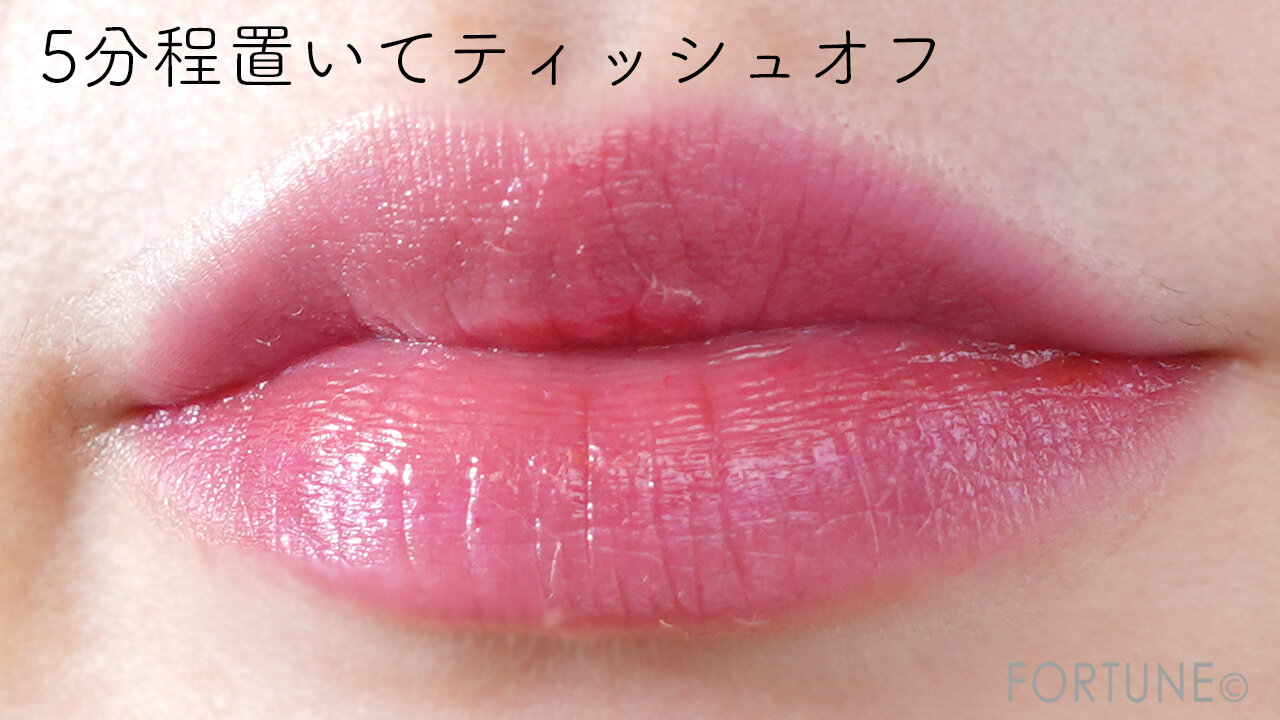 ettusais（エテュセ）／エテュセ リップエディション（プランパールージュ）ウォームスタイル