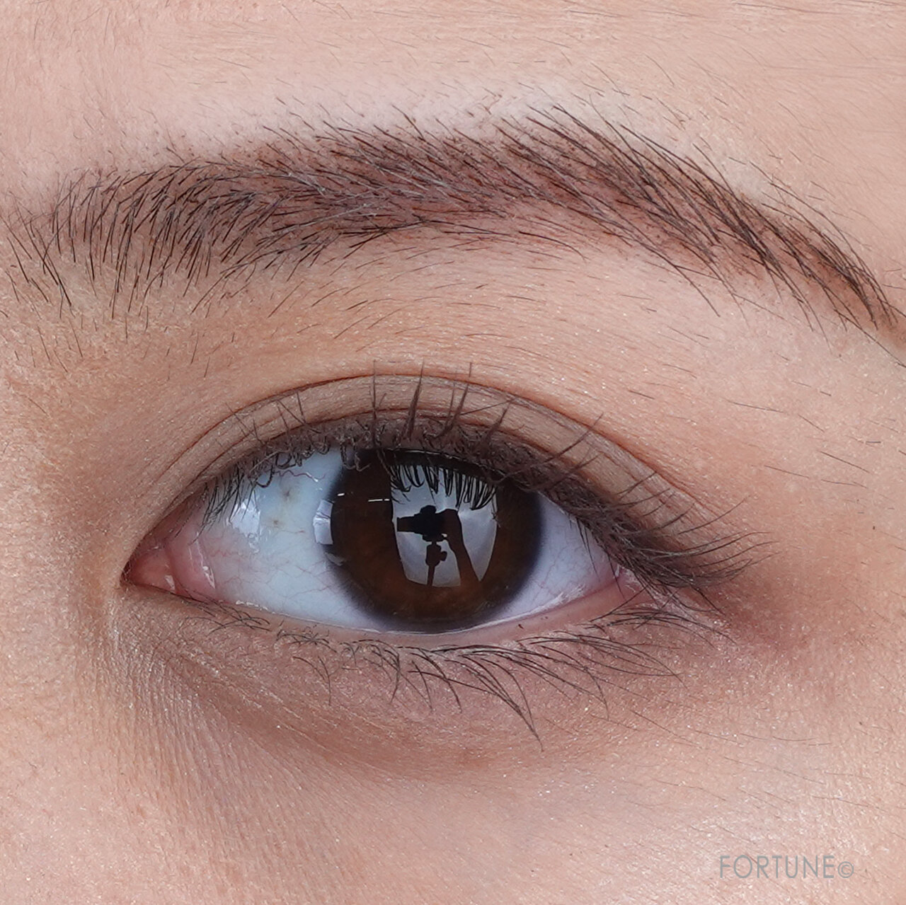 『レブロン カラーステイ デイトゥ ナイト アイシャドウ クアッド』　500 アディクティブ