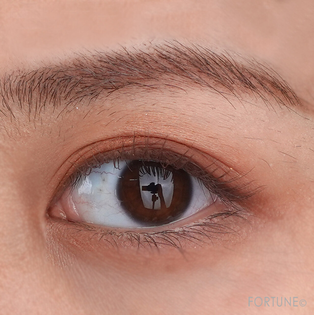 『レブロン カラーステイ デイトゥ ナイト アイシャドウ クアッド』　560スタイリッシュ