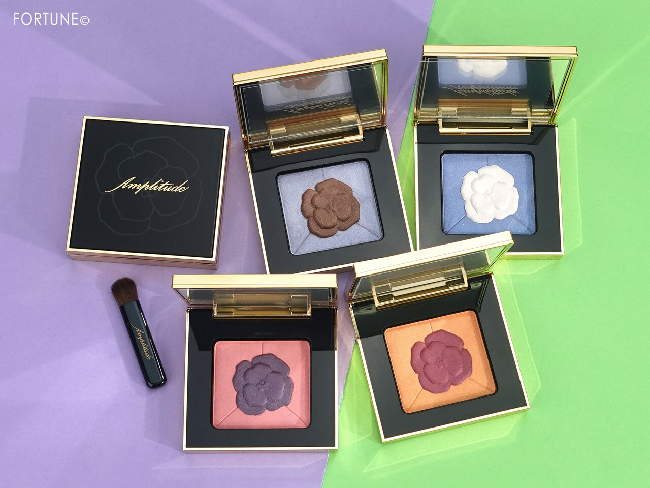 Amplitude（アンプリチュード）／Amplitude コンスピキュアス アイズ リミテッドコレクションa