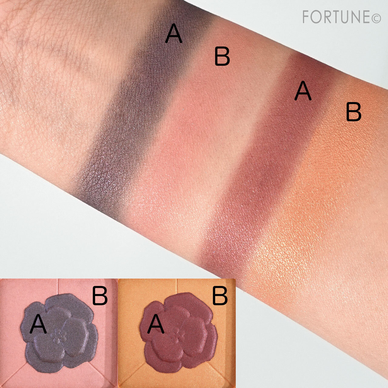 Amplitude（アンプリチュード）／Amplitude コンスピキュアス アイズ リミテッドコレクションa