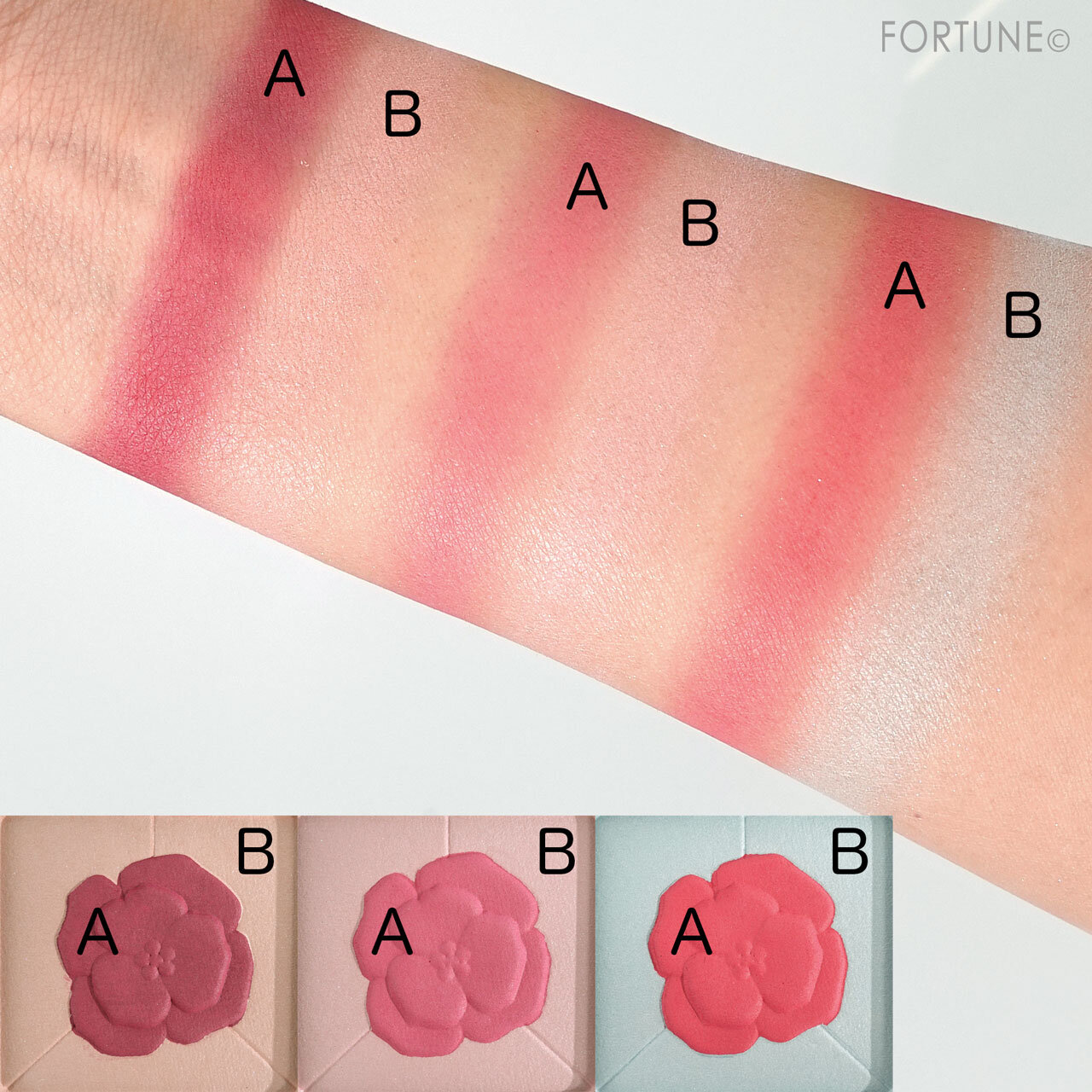 Amplitude コンスピキュアス チークス リミテッドコレクション a