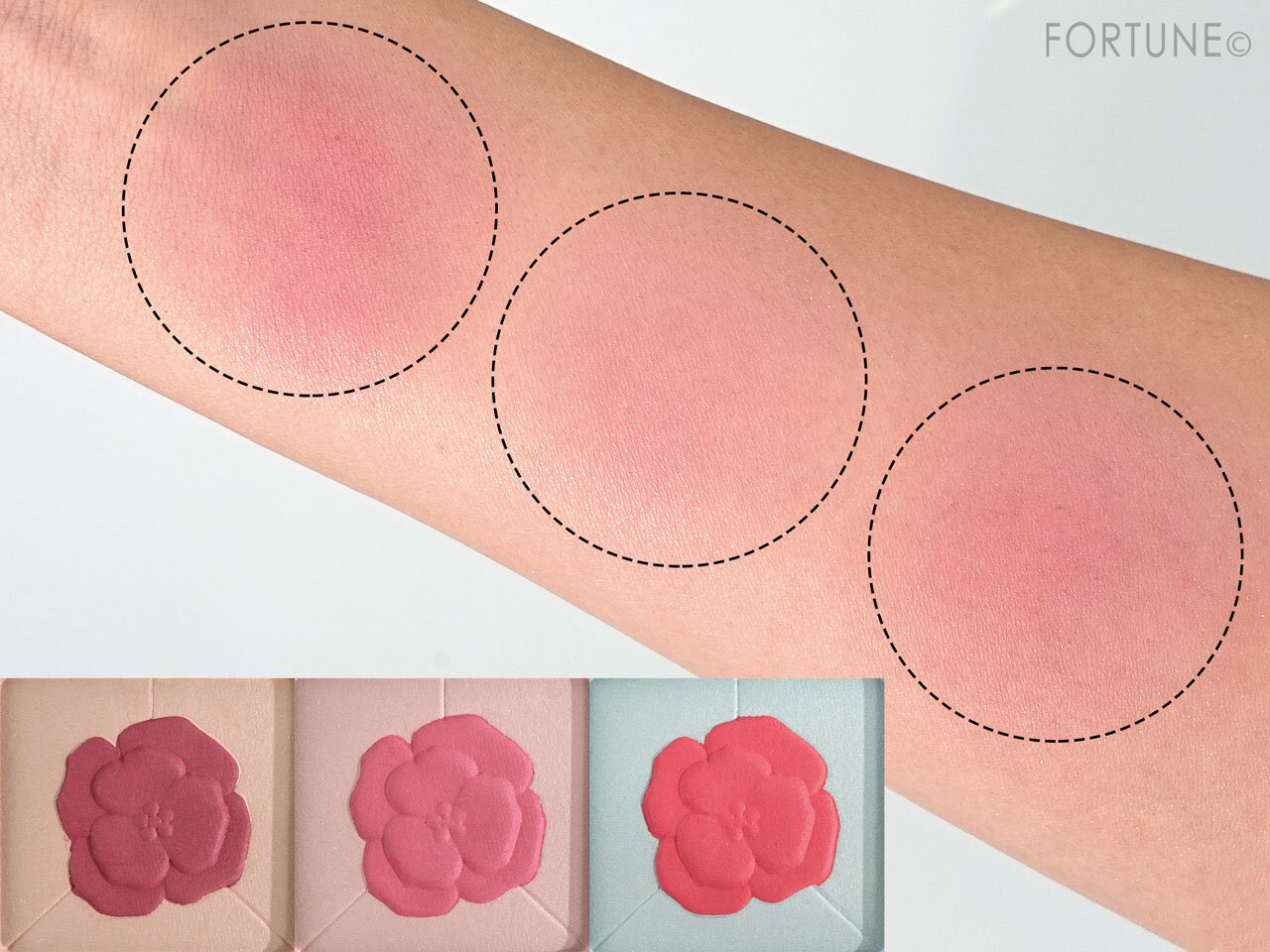 Amplitude コンスピキュアス チークス リミテッドコレクション a