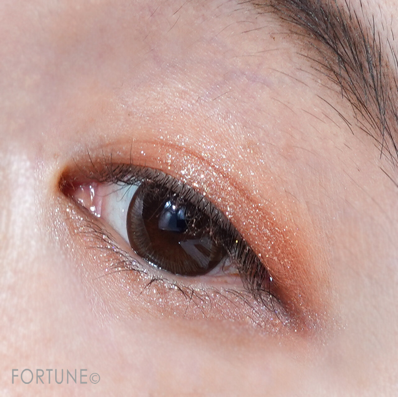 LEEMEMBER（リメンバー）／3色マロンアイシャドウパレット