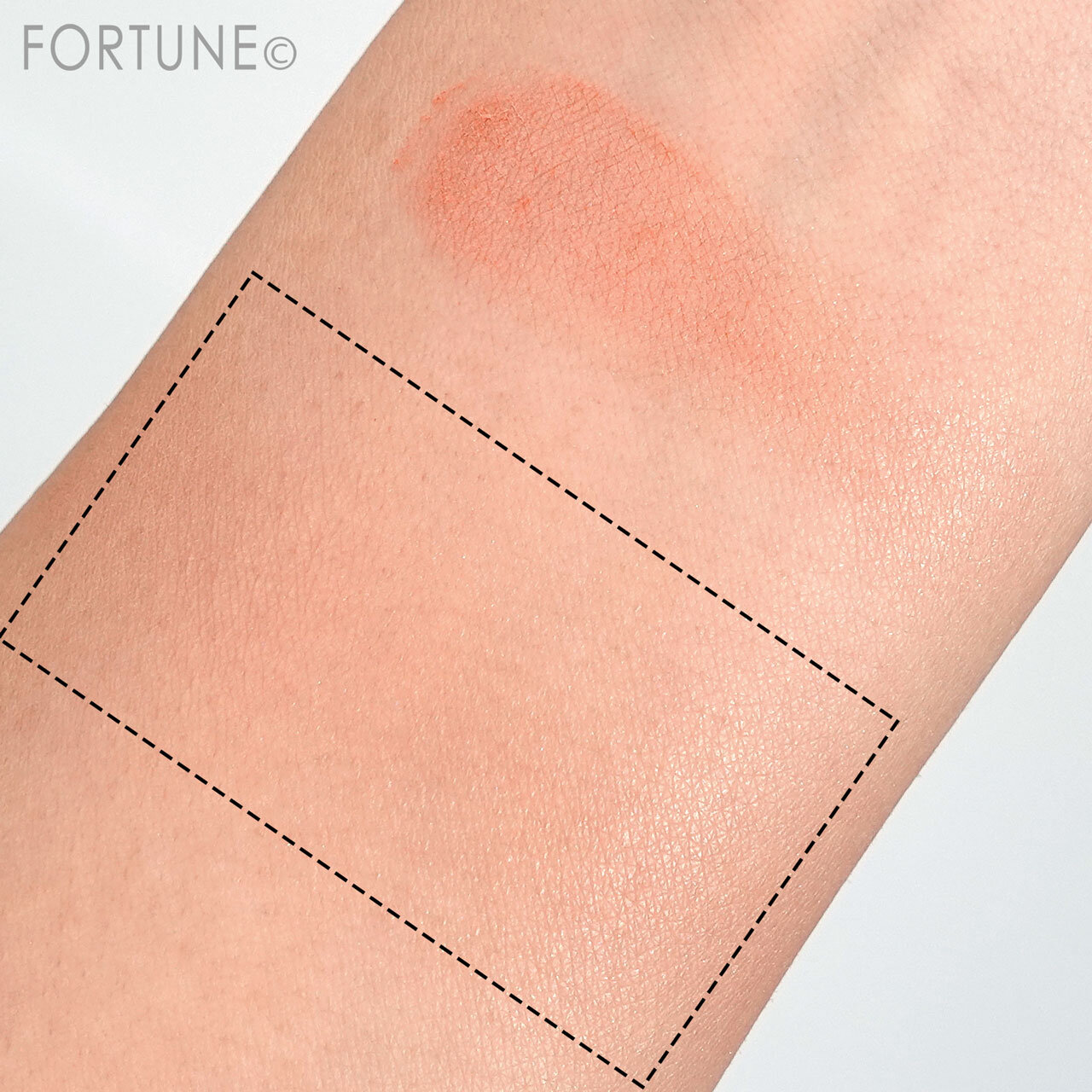 2022春新作コスメ「アディクション ブラッシュブラシ 10」