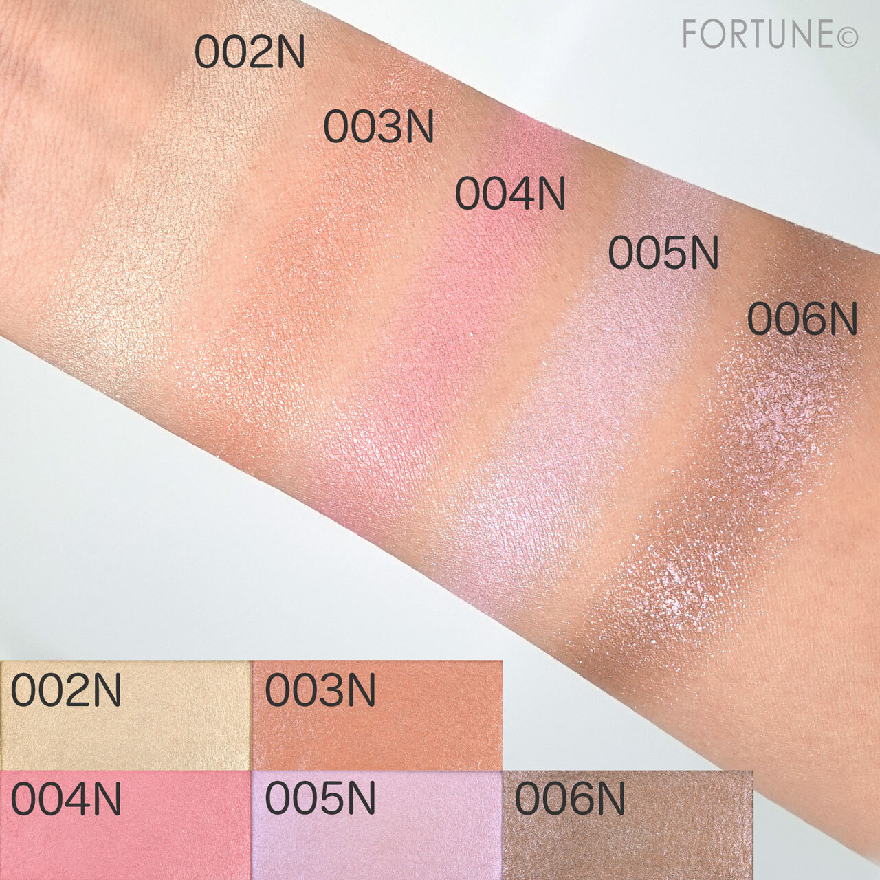 2022春新作コスメ「アディクション ザ ブラッシュ ニュアンサー（N）」