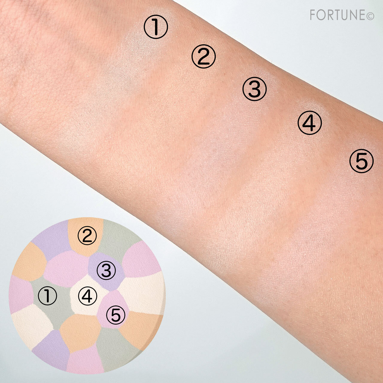 CANMAKE（キャンメイク）新作コスメ｜マシュマロフィニッシュパウダー ～Abloom～