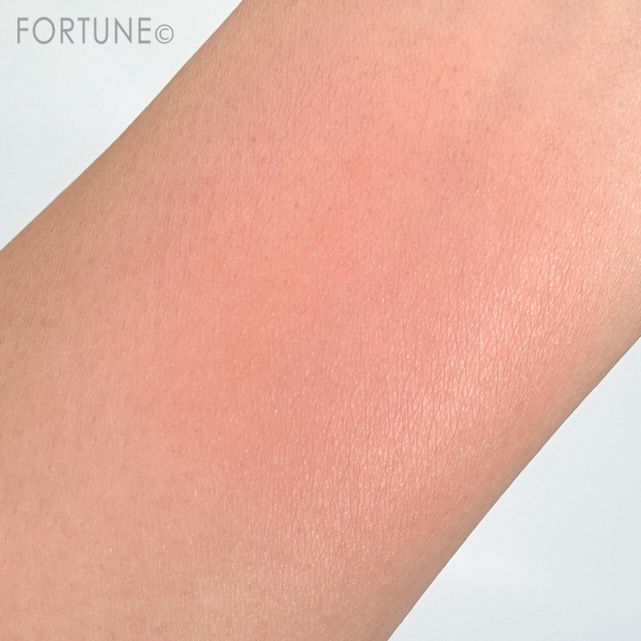 『 ブロウンアウェイ ブラッシュデュオ』TAKE ME THERE塗布