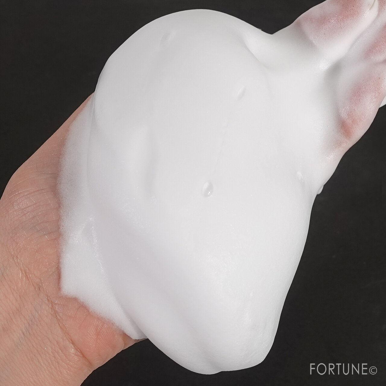 サナ なめらか本舗 クレンジング洗顔 NC