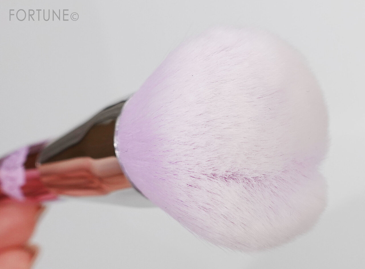 タイコスメ シーチャン フェイスブラシ