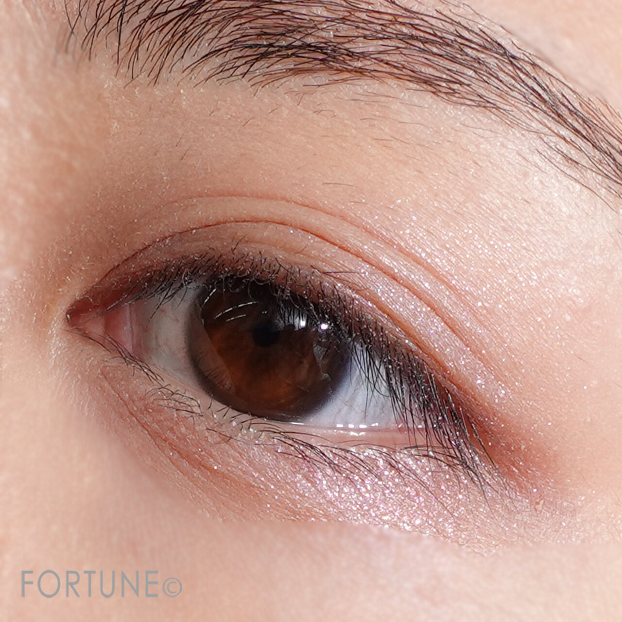 パラドゥ　シングルアイシャドウ　PL01 ユニコーンファンタジー