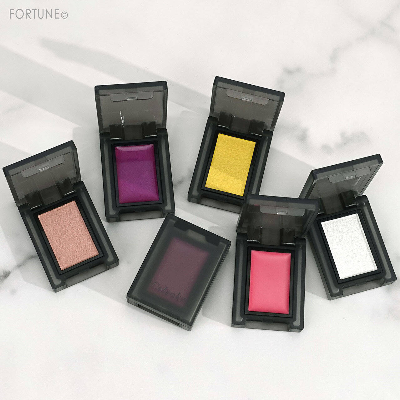 セルヴォーク　ヴォランタリーアイズ