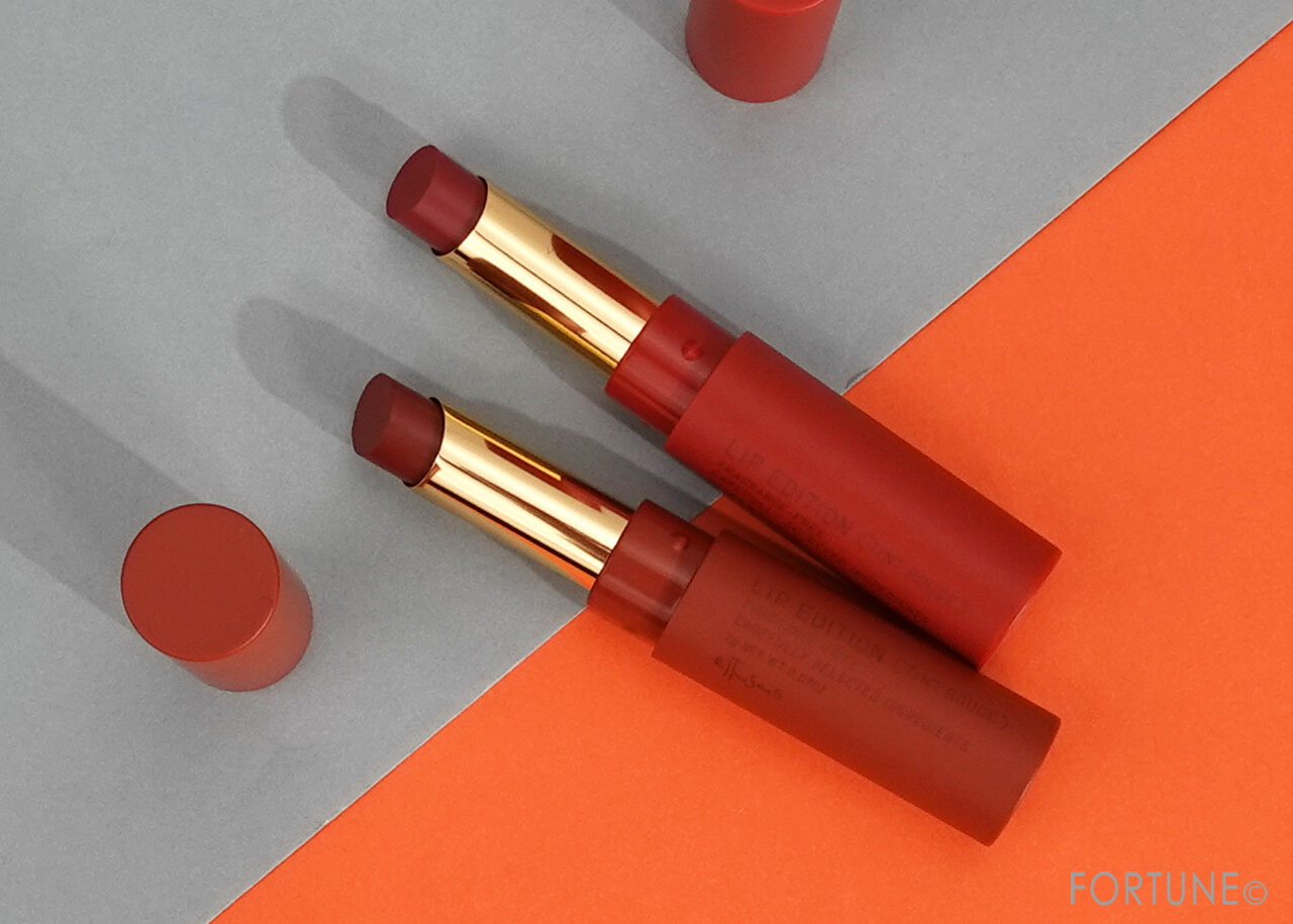 ettusais(エテュセ)　『リップエディション（ティントルージュ）レアマットタイプ』　2022年春　新作