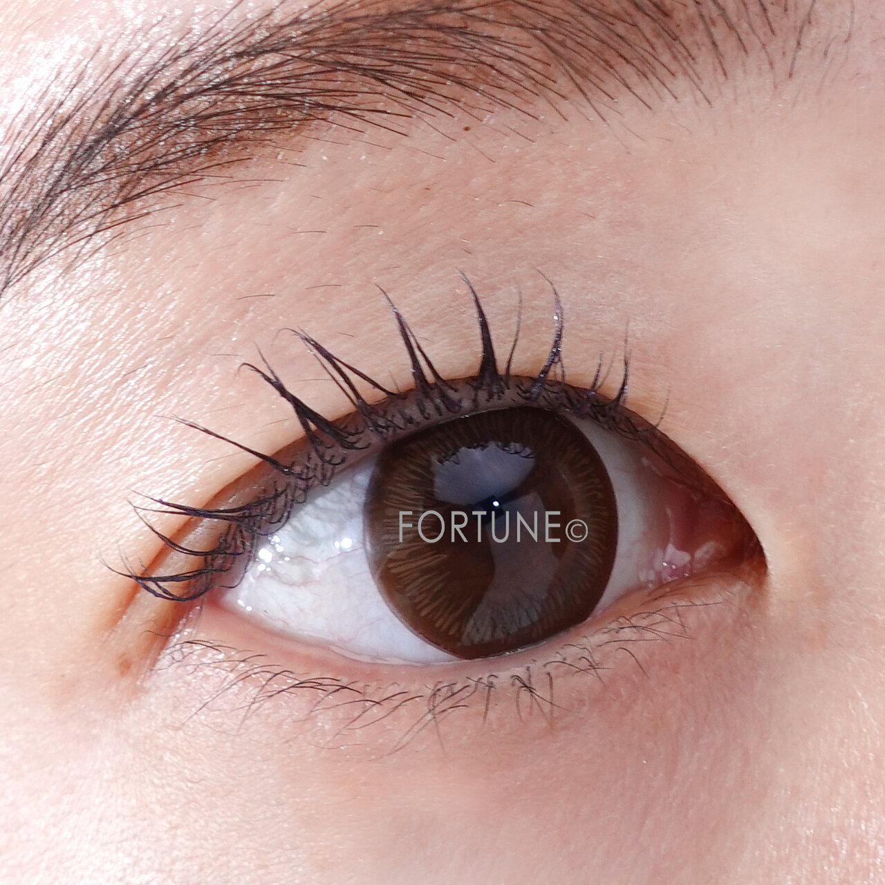 アイエディションマスカラグロッシータイプ　サンディグレージュ